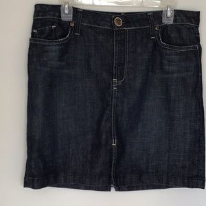 Denim for Immortality couture collection skirt 32